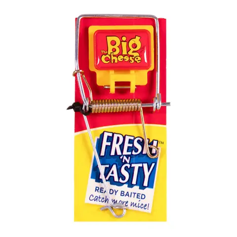 Big Cheese Baited Mouse Trap