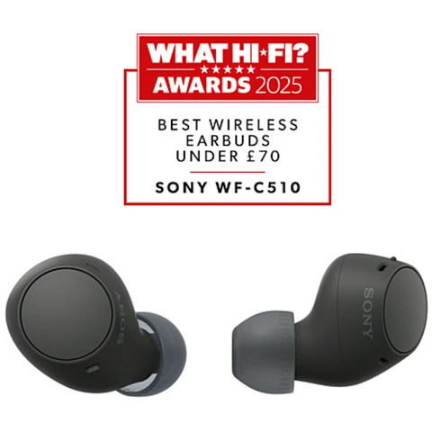 Écouteurs sans Fil Véritable Sony WF-C510 (Noir)