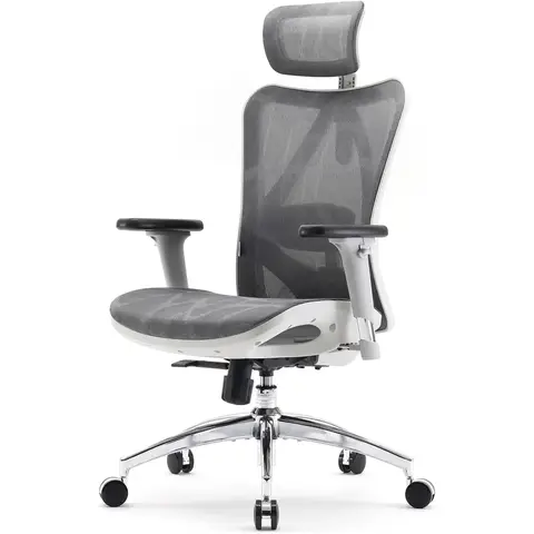 SIHOO Ergonomic Office Chair Mesh Desk Chair with Adjustable Lumbar Support 3D Armrests Breathable High Back Computer Chair (Light Gray)