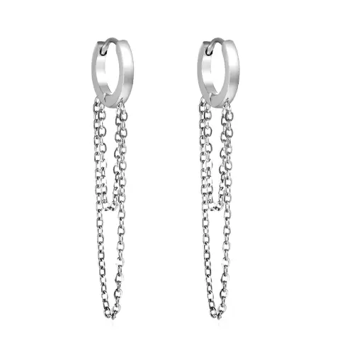 Droop Chain Stainless Steel Earrings