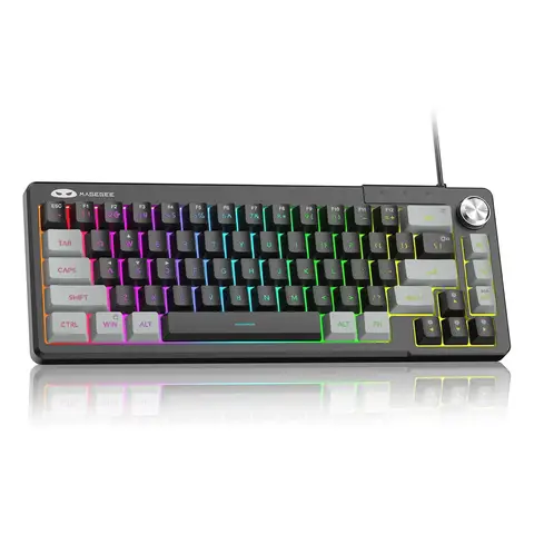 MageGee Mini 60%-Gaming-Tastatur, RGB-Hintergrundbeleuchtung, ultrakompakte Tastatur, TS68, ergonomisch, wasserdicht, mechanisches Tastengefühl, Büro-Tastaturen für PC, Mac, PS4, Xbox One, Gamer-Grau/Schwarz