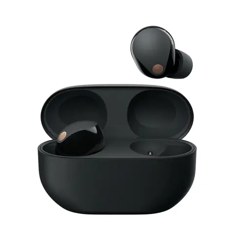 Sony WF-1000XM5 - Volledig draadloze oordopjes met Noise Cancelling (Zwart) 