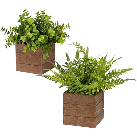 DDHS 2Pack Mini Potted-2pcs