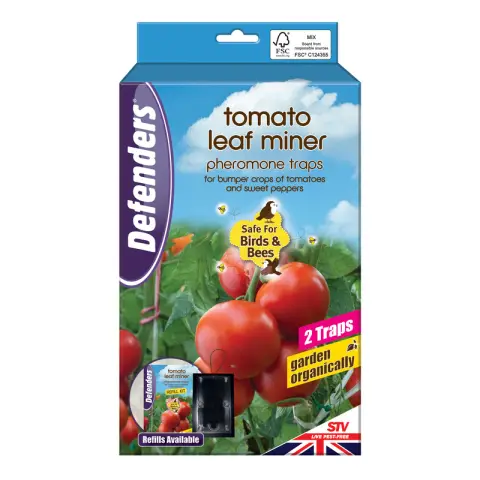 Zero In Tomato Leaf Miner Trap
