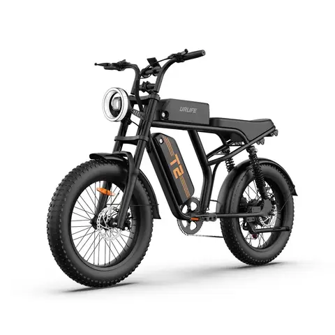 URLIFE T2 adult E-bike 250W 48V 15.6Ah battery Electric Bike,20-inch All-terrain fat tire E-Mountain bike URLIFE T2（black）