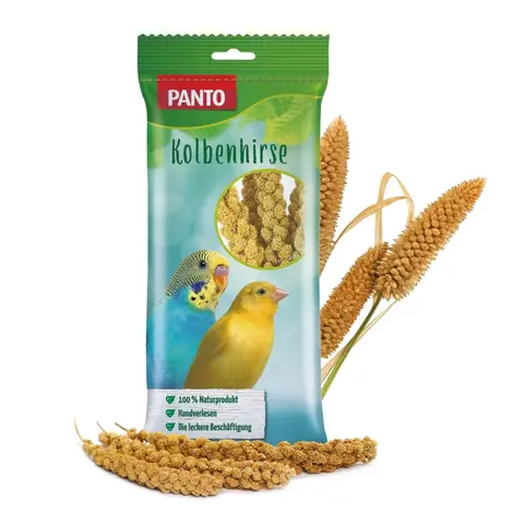 Panto Kolbenhirse 100 g