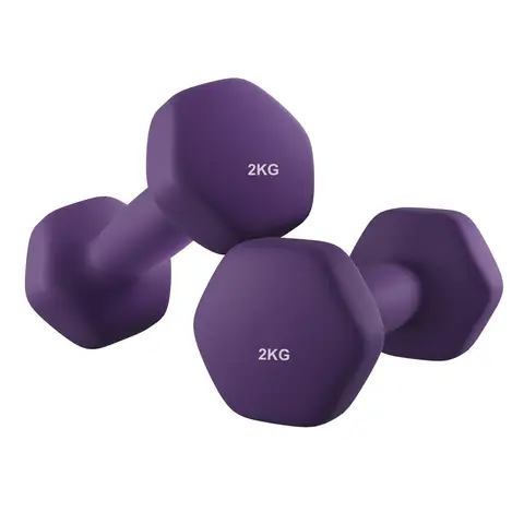JOYFURNOSLot de 2 haltères, 2 x 2 kg, revêtement en néoprène, Violet