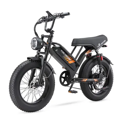 Pure Unicorn U5 Elektrische Fiets voor Volwassenen 48 V 19,2 Ah Accu Hydraulische Schijf Dubbele Vering 20 × 4,0 inch Banden