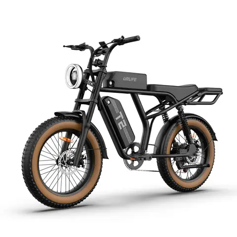 URLIFE T2 adult E-bike 250W 48V 15.6Ah battery Electric Bike,20-inch All-terrain fat tire E-Mountain bike URLIFE T2（brown）