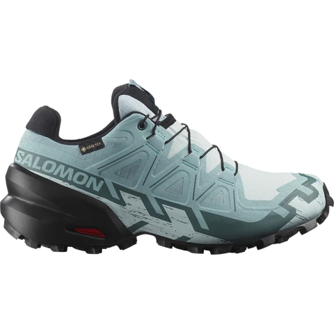 Salomon Speedcross 6 GTX W L47880100_41 1/3