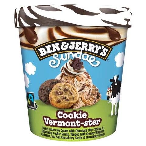 Ben & Jerry Sundae Cookie Vermont Star 324g