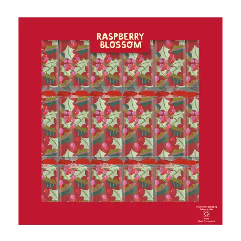 Raspberry Blossom Luxury Crackers Set of 6 12"