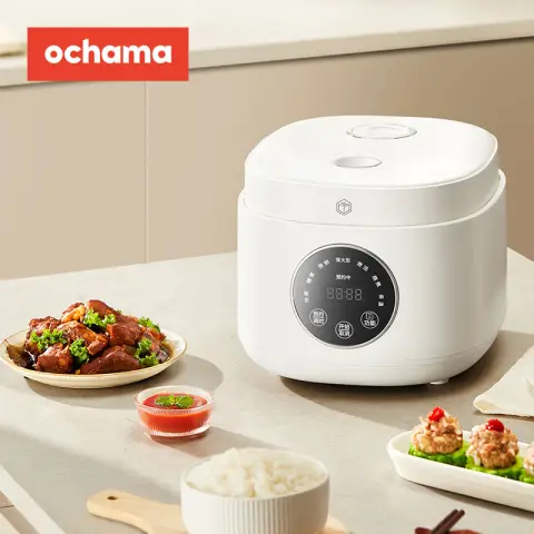 ochama Rice Cooker 2L, Perfect for 1-2 People Household & Students