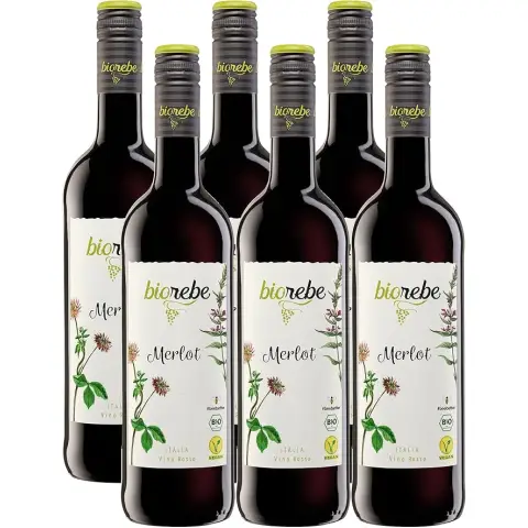 BIOREBE Merlot Rotwein BIO VEGAN Italien IGP trocken, 6x0,75L