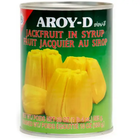 Jackfruit in Syrup 565 G