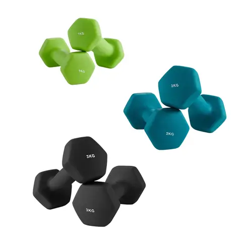 SONGMICSHOME Hantel-Set, 3 Paar, 1 kg, 2 kg, 3 kg, Aufbewahrung, Fitnessstudio, Krafttraining, limettengrün, aquamarin und dunkelgrau 