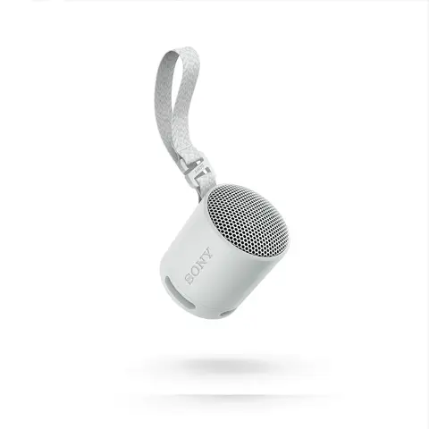 Sony SRS-XB100H - haut-parleur Bluetooth - gris