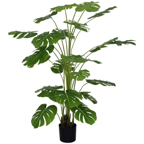 große ufopflanze Ufopflanze (Pilea peperomioides) kaufen