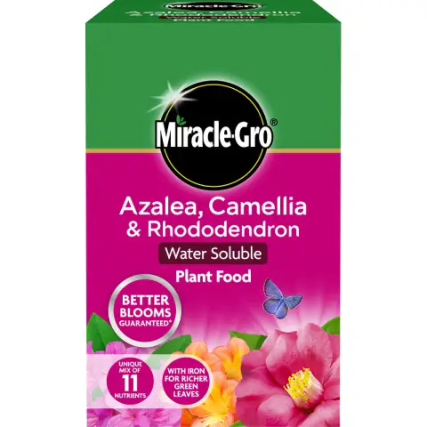 Miracle Gro Azalea, Camellia and Rhododendron Soluble Feed 500g
