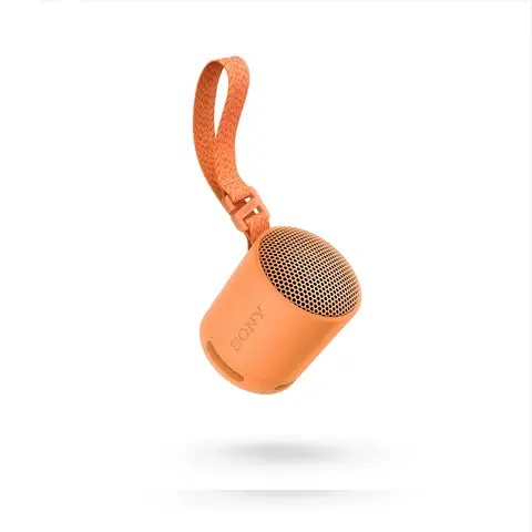 Sony SRS-XB100 Bluetooth Portable Speaker (Orange)