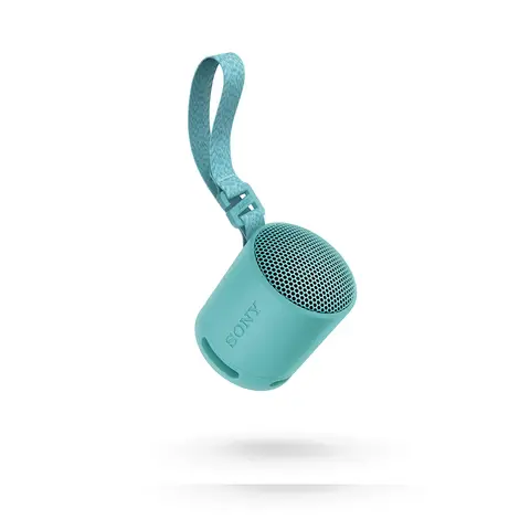 Sony SRS-XB100 Bluetooth Portable Speaker (Blue)