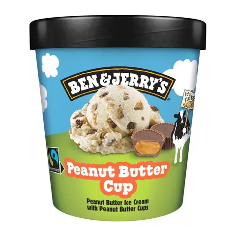 Ben & Jerry's Ice Cream Peanut Butter Cup 465 ml