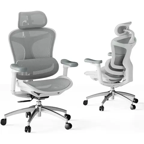 Chaise de bureau ergonomique SIHOO Doro C300 avec accoudoirs 3D ultra doux, soutien lombaire dynamique pour chaise de bureau à domicile, dossier réglable (Blanche)