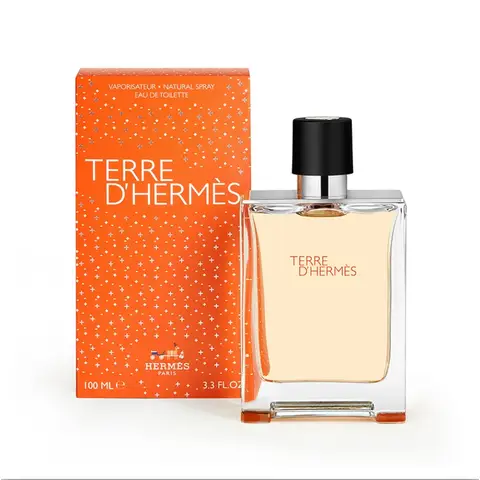 Hermes Terre d'Hermes Eau de Toilette, 100 ml, frühzeitig verpackt