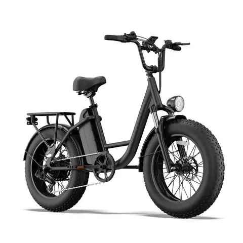 URLIFE E20 PRO Electric Bicycle For Adults 1500W Motor 48V 15.6AH Battery 20" Fat Tire All-Terrain E-Mountain bike URLIFE E20
