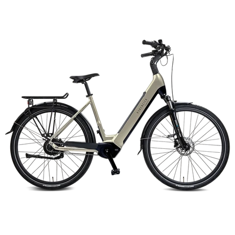 Rabeneick Comfort E-Bike Wave 51 champagnegoud