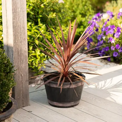 Strata Barrel Planter 34cm -Oakwood Effect