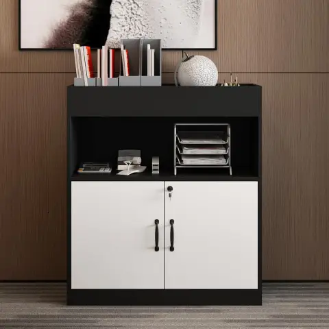 Caldion Aktenschrank mit 4 Fächern, Bücherregal mit 2 abschließbaren Türen, Büroschrank mit Schloss und Regalen, Mehrzweckschrank, Aufbewahrungsschrank, für Büro und Arbeitszimmer, schwarz + weiß, 80x40x90cm.