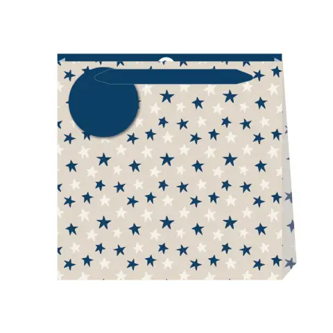 Penny Kennedy Linen Astros Small Gift Bag
