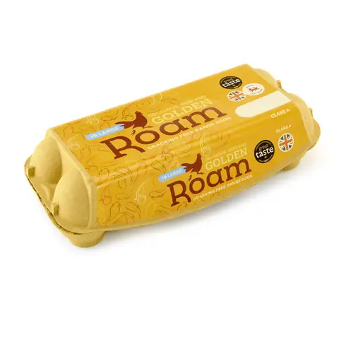 10 Large Golden Yolk Free Range Eggs