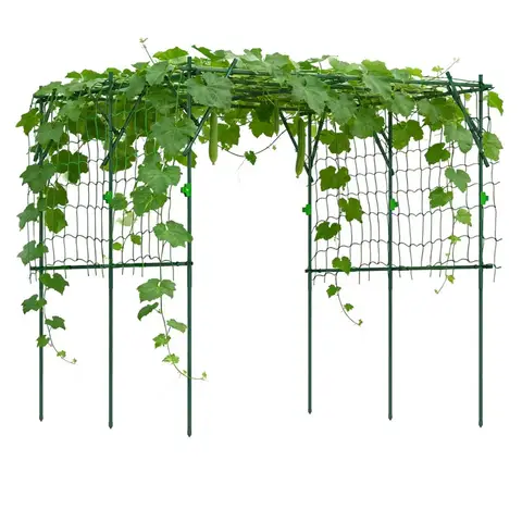 Gewlbte Spitze Rankgitter - Gartenpflanzensttzen | Metallrahmen Struktur