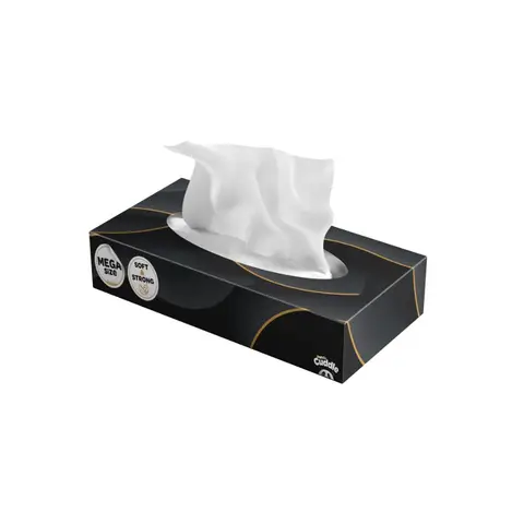 PANDA CUDDLE Ultra Soft XL 76Sheets (24Packs)