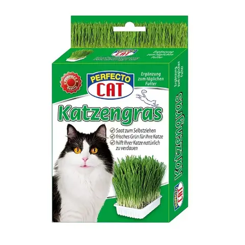 Perfecto Cat Katzengras Saat mit Pflanzschale 100 g