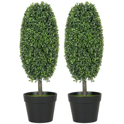 Olivenbaum Geschenk - Symbolische Lebendpflanze | Mediterraner Olivenbaum