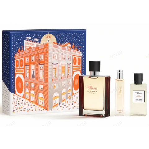 Hermes Terre d'Hermes Geschenkset Eau de Parfum Intense 100ml+15ml + After Shave Balm 40 ml