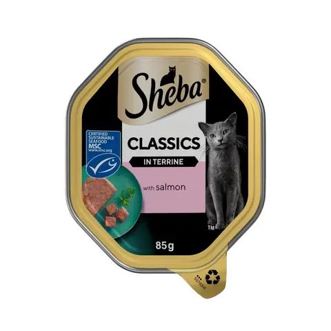 Sheba Classics Wet Cat Food Tray Salmon in Terrine 85g