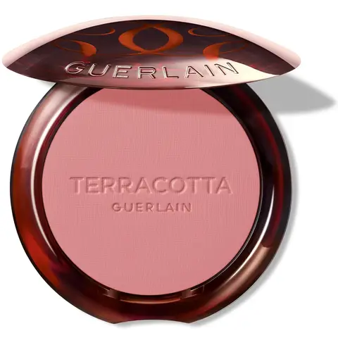 Guerlain Terracotta Rouge 5g #01 Hellrosa