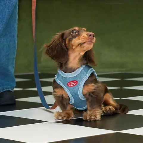 ZEZE Denim Dog Harness & Leash Set, Adjustable Pet Travel Set (Size S, for pets 2.5 kg–5 kg)