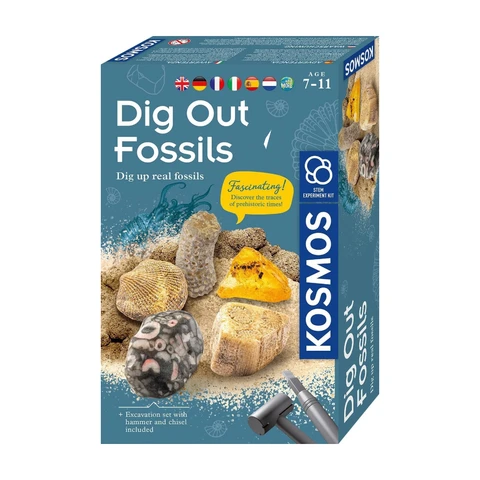 KOSMOS 657918 Fossilien Ausgrabungs-Set, Grabe echte Versteinerungen und Bernstein selbst aus, mit Hammer und Meißel, Experimentierset für Kinder ab 7 Jahre