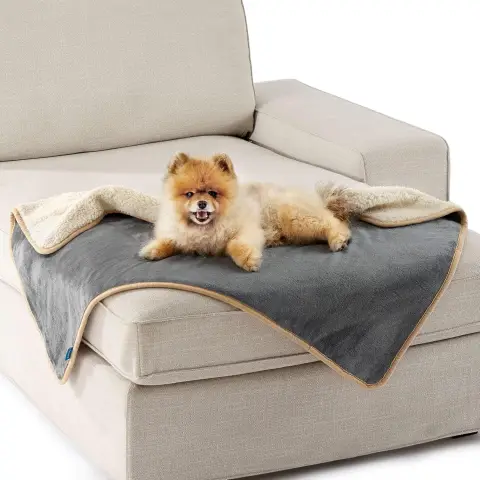 Lesure Wasserdichte Hundedecke, Outdoor Waschbare Hundedecke, Sofaschutz, Sherpa-Fleece, Katzen-Decke, Flauschig und Weich, für Kleine Hunde, 80 x 60 cm, Grau