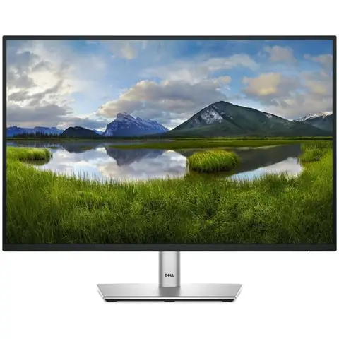 DELL 24 Monitor - P2425, 61cm (24.0")