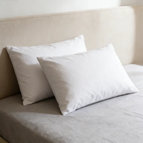 Paoletti Pillowcase Pair 100% Cotton 200TC White