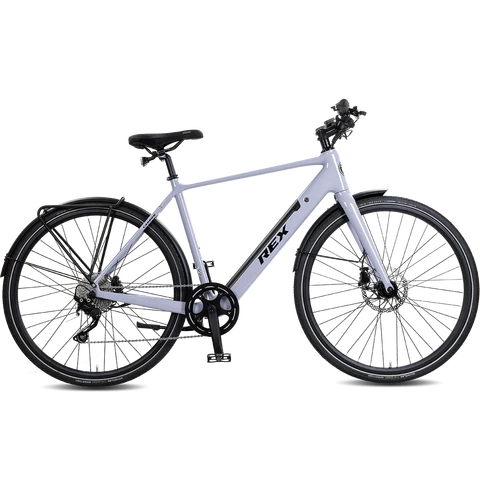 Rex Carbon E-Bike Diamant 52 paars