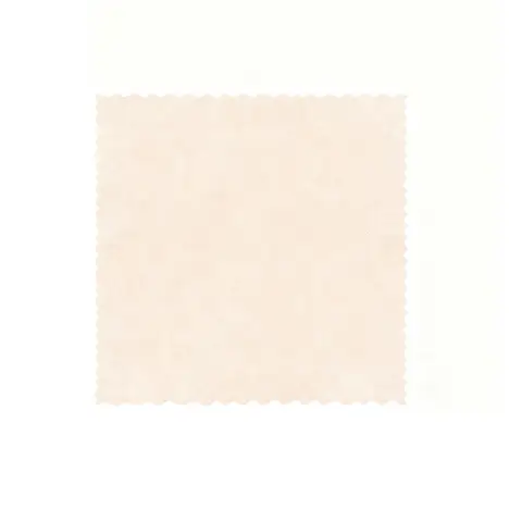 BJ Disposable Loofah Dishcloth (25*25cm) - 20-Piece Pack