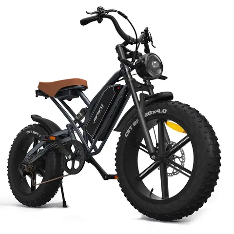 Jansno X50 Adult Electric Bike 750W All Terrain E-bike 48V14Ah Battery 20 Inch Fat Tire E-Mountain bike