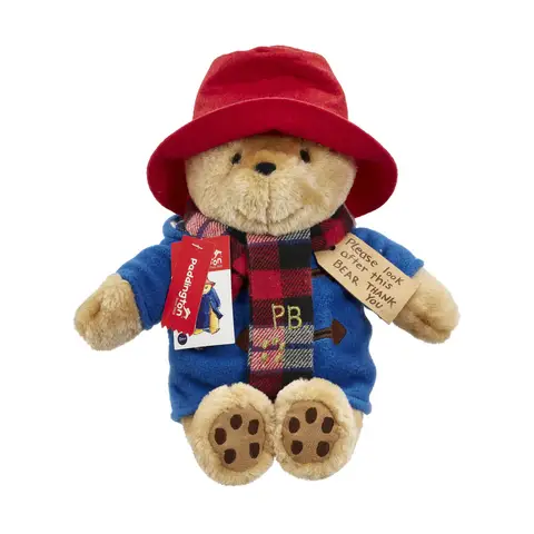 Large Cuddly Paddington With Scarf